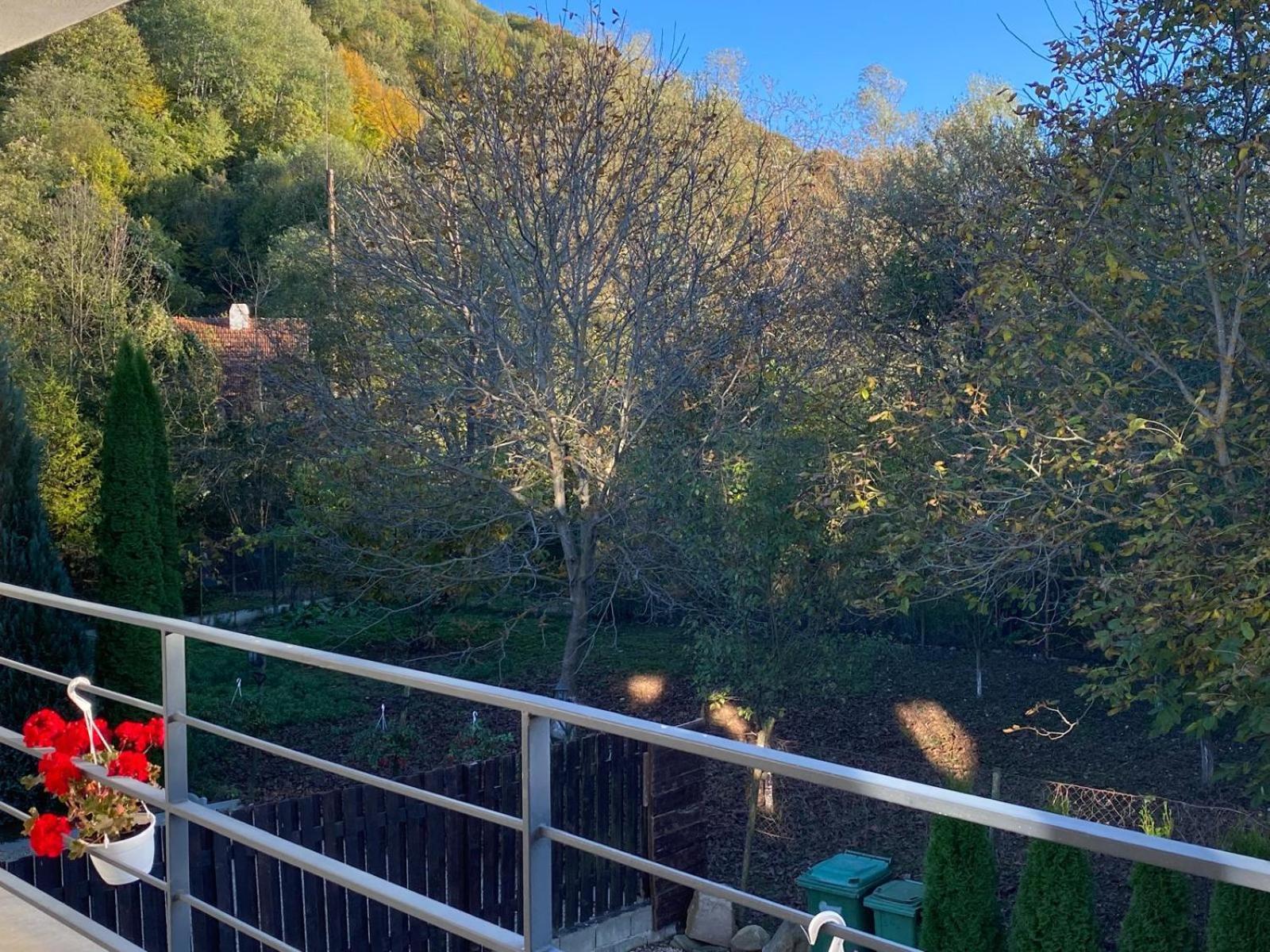 Vila Emma Rîşnov Exterior foto